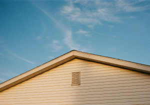 Log Vinyl Siding