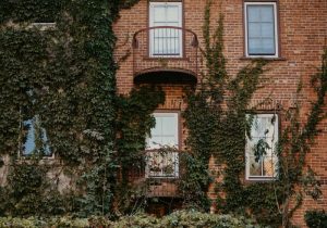 Brick and Faux Brick Siding